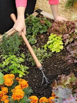Gardener's Lifetime Raised Bed Cultivator -Garden Care 8587960 0687 tif