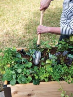 Gardener's Lifetime Raised Bed Trowel 7 Gardener's Lifetime Raised Bed Trowel -Garden Care 8588014 4084 tif