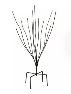 Bottle Bush 7 Bottle Bush -Garden Care 8588047 0697