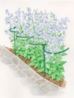 Tidy Path Supports -Garden Care 8588403 003 1