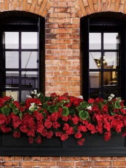 Fairfield Self-Watering Window Box, 5’ 14 Fairfield Self-Watering Window Box, 5’ -Garden Care 8588938 102V tif