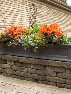 Fairfield Self-Watering Window Box, 5’ 15 Fairfield Self-Watering Window Box, 5’ -Garden Care 8588938 105V tif