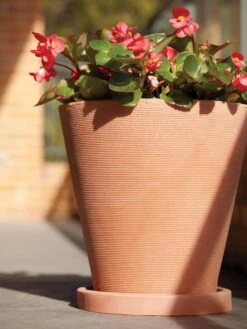 Universal Round Planter Saucers -Garden Care 8589526 001V tif