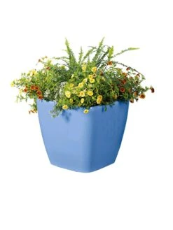 Viva Square Self-Watering Rolling Planter, 14" Diameter 9 Viva Square Self-Watering Rolling Planter, 14" Diameter -Garden Care 8589777BL 6080 tif
