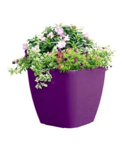 Viva Square Self-Watering Rolling Planter, 17.5" Diameter -Garden Care 8589778PR 6126 tif