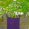 Gardener's Best® Potato Grow Bag -Garden Care 8589785PR 4191 potato grow bags with handles tif