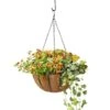 AquaSav™ Oxford Hanging Basket, 14" 1 AquaSav™ Oxford Hanging Basket, 14" -Garden Care 8589789 028 tif