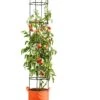 Gardener's Best® Tomato Grow Bag Set 1 Gardener's Best® Tomato Grow Bag Set -Garden Care 8590013PP 151 Tomato grow bag set tif