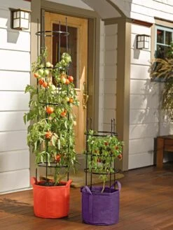 Gardener's Best® Tomato Grow Bag Set -Garden Care 8590013 170 tif
