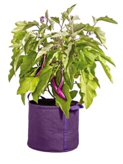 Gardener's Best® Universal Grow Bag 12 Gardener's Best® Universal Grow Bag -Garden Care 8590024PR 214 tif