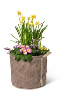 Gardener's Best® Universal Grow Bag 15 Gardener's Best® Universal Grow Bag -Garden Care 8590024 7307 tif