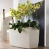 Lechuza® Cararo Rectangular Indoor Planter With Casters 1 Lechuza® Cararo Rectangular Indoor Planter With Casters -Garden Care 8590295 02v lechuza cararo rectangular indoor planter with casters