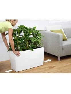 Lechuza® Cararo Rectangular Indoor Planter With Casters -Garden Care 8590295 03v