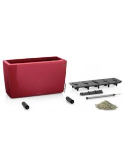 Lechuza® Cararo Rectangular Indoor Planter With Casters -Garden Care 8590295 04v