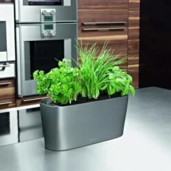 Lechuza® Delta Self-Watering Windowsill Planters -Garden Care 8590298 02V tif