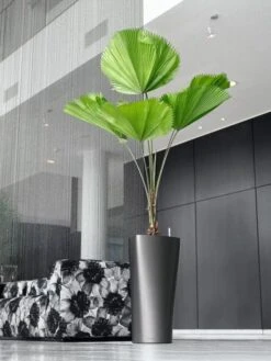 Lechuza® Delta Premium Self-Watering Planters -Garden Care 8590299 02V tif