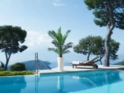 Lechuza® Delta Premium Self-Watering Planters -Garden Care 8590299 04V tif