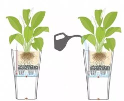 Lechuza® Delta Premium Self-Watering Planters -Garden Care 8590299 07V tif