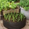 Garlic Grow Bag Kit 2 Garlic Grow Bag Kit -Garden Care 8590676 0072 growing garlic grow bag kit