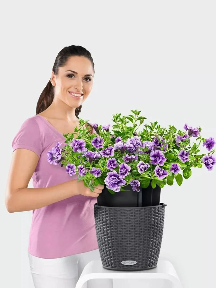 Lechuza® Nido Cottage Wicker Hanging Planter 5 Lechuza® Nido Cottage Wicker Hanging Planter - Image 3