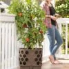 Gardener's Revolution® Tomato Planter -Garden Care 8592159 406 001E tif