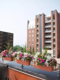 Adjustable Self-Watering Railing Planter, 24" -Garden Care 8592173TC 2383 tif