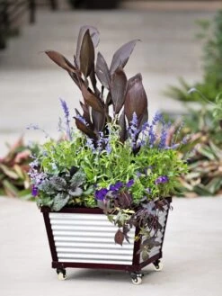 Galvanized Self-Watering Planters 8 Galvanized Self-Watering Planters -Garden Care 8592176 5060 tif