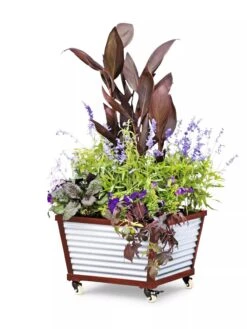 Galvanized Self-Watering Planters 9 Galvanized Self-Watering Planters -Garden Care 8592176 5067 tif