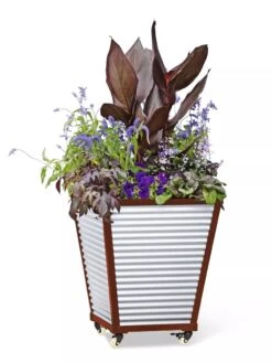 Galvanized Self-Watering Planters 10 Galvanized Self-Watering Planters -Garden Care 8592177 5066 tif