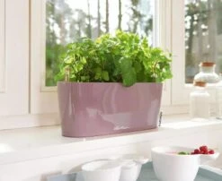 Lechuza® Delta Self-Watering Windowsill Planters -Garden Care 8592361 01V tif