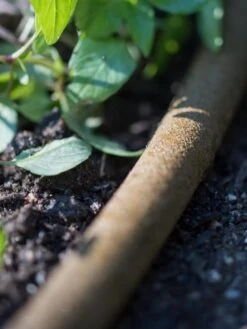 Premium 1/2" Soaker Hose 13 Premium 1/2" Soaker Hose -Garden Care 8592730 4933 tif