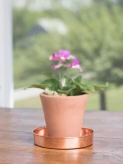 Extra Small Round Copper Plant Tray, 8" -Garden Care 8593528 4522 tif