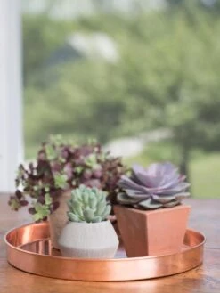 Large Round Copper Plant Tray, 14" 13 Large Round Copper Plant Tray, 14" -Garden Care 8593531 4518 tif