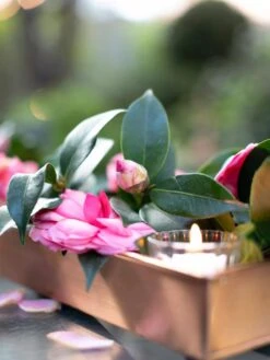 Rectangular Copper Plant Tray, 18"x4" -Garden Care 8593532 02IN tif