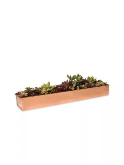 Rectangular Copper Plant Tray, 18"x4" -Garden Care 8593532 2892 tif