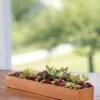 Rectangular Copper Plant Tray, 18"x4" 2 Rectangular Copper Plant Tray, 18"x4" -Garden Care 8593532 4632 tif