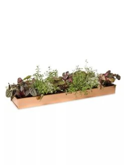 Rectangular Copper Plant Tray, 24" X 5" 11 Rectangular Copper Plant Tray, 24" X 5" -Garden Care 8593533 2878 tif