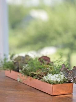 Rectangular Copper Plant Tray, 24" X 5" 9 Rectangular Copper Plant Tray, 24" X 5" -Garden Care 8593533 4626 tif