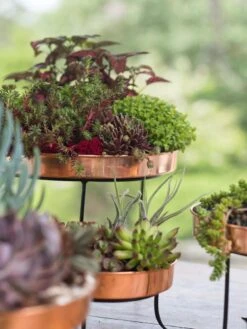 Small Round Copper Plant Tray, 10" -Garden Care 8593564 4399 tif