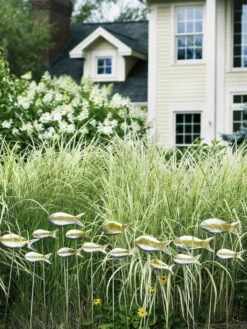 Fish Out Of Water Garden Stakes, Set Of 5 14 Fish Out Of Water Garden Stakes, Set Of 5 -Garden Care 8593672 9124 tif