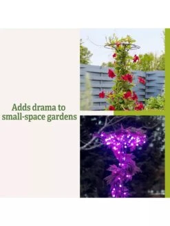 Essex Tuteur, 63" -Garden Care 8594162 3