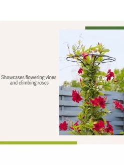 Essex Tuteur, 63" -Garden Care 8594162 4