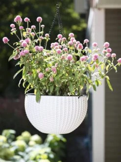 Weave Self-Watering Hanging Basket, 10" 6 Weave Self-Watering Hanging Basket, 10" -Garden Care 8594316 824 tif