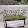 Short Galvanized Self-Watering Trough Planter 1 Short Galvanized Self-Watering Trough Planter -Garden Care 8594329 5064 tif