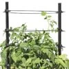 Gardener's Revolution® Classic Tomato Extension -Garden Care 8594367 0047 001E gardeners revolution classic tomato cage extension tif