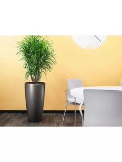 Lechuza® Rondo Self-Watering Planters -Garden Care 8594586 02V tif