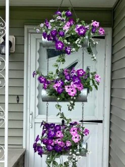 Galvanized Hanging Triple Planter 13 Galvanized Hanging Triple Planter -Garden Care 8595213 02CUST tif