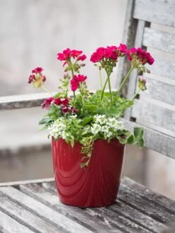 Garden Care -Garden Care 8595222 1137 tif