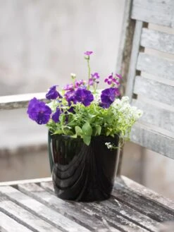 Viva Round Self-Watering Planter, 7" Diameter 11 Viva Round Self-Watering Planter, 7" Diameter -Garden Care 8595222 1140 tif