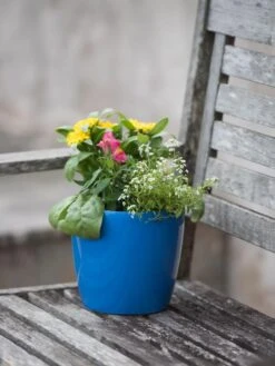 Viva Round Self-Watering Planter, 7" Diameter 9 Viva Round Self-Watering Planter, 7" Diameter -Garden Care 8595222 1143 tif